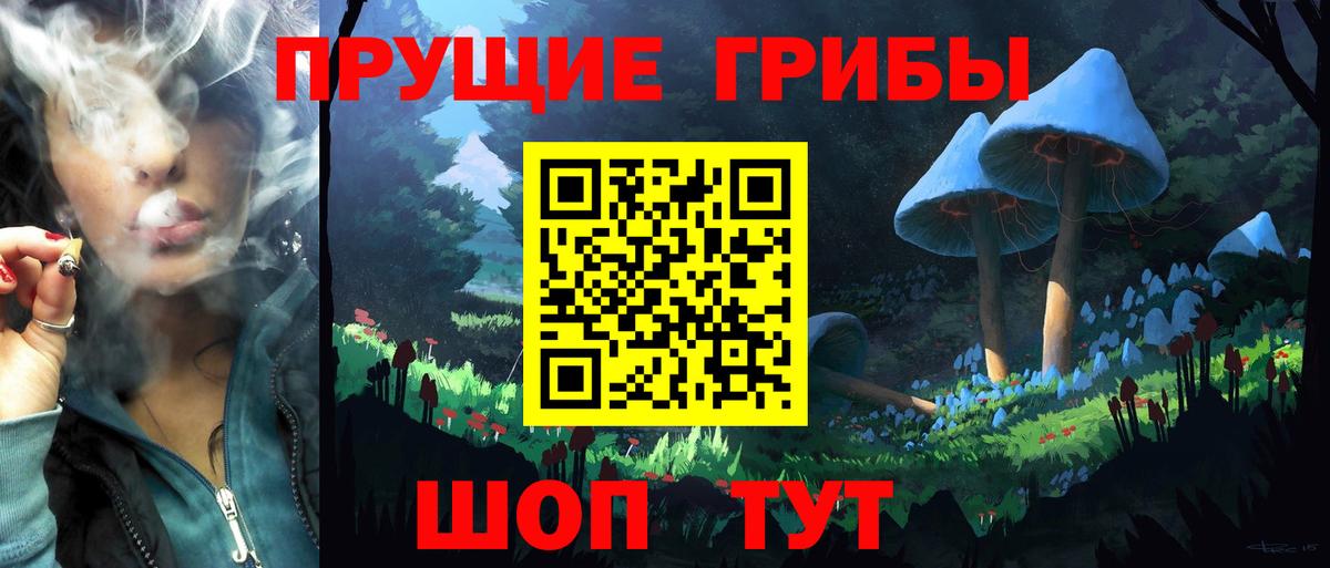 Псилоцибиновые грибы мухоморы  где купить наркоту  Галлюциногенные грибы Psilocybine cubensis  Троицк  Вход с VPN 